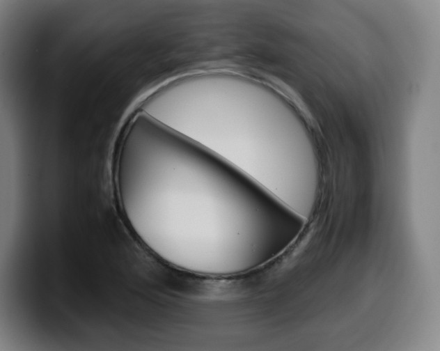 X0000099511176200805151004