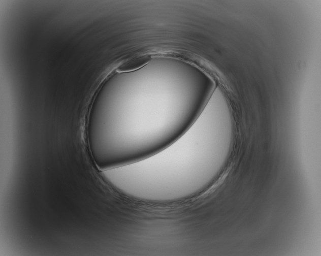 X0000099511177200805151004