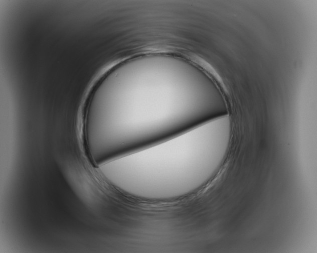 X0000099511179200805151004