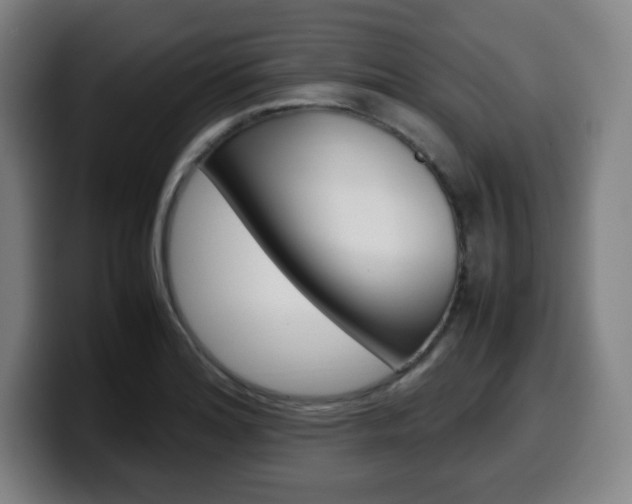 X0000099511180200805151004