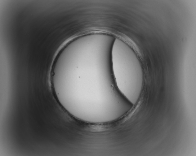X0000099511182200805151004