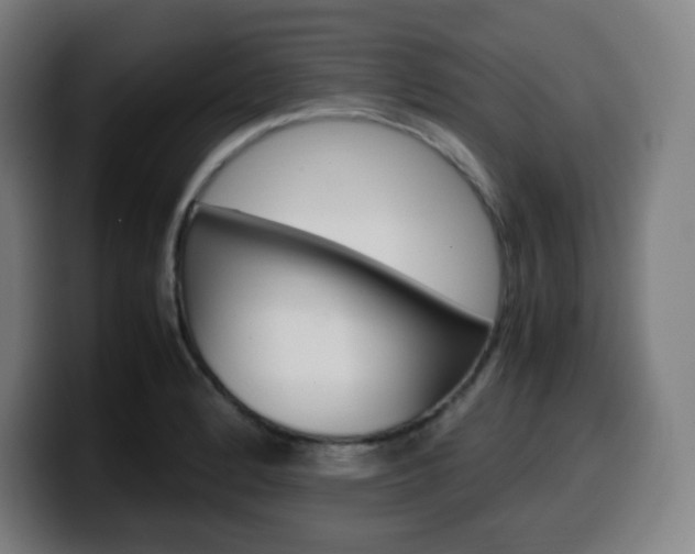 X0000099511184200805151004