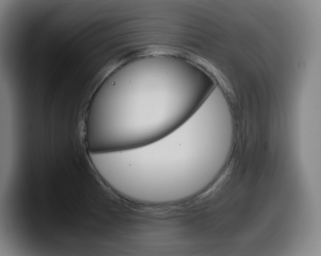 X0000099511185200805151004