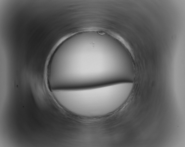 X0000099511187200805151004