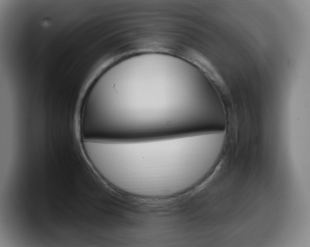 X0000099511188200805151004