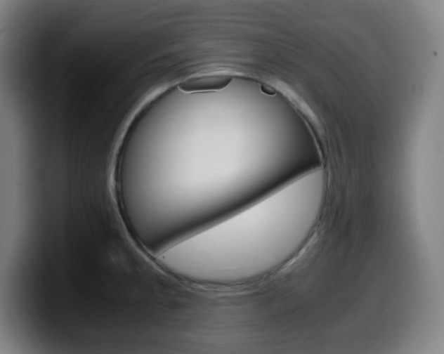 X0000099511189200805151004