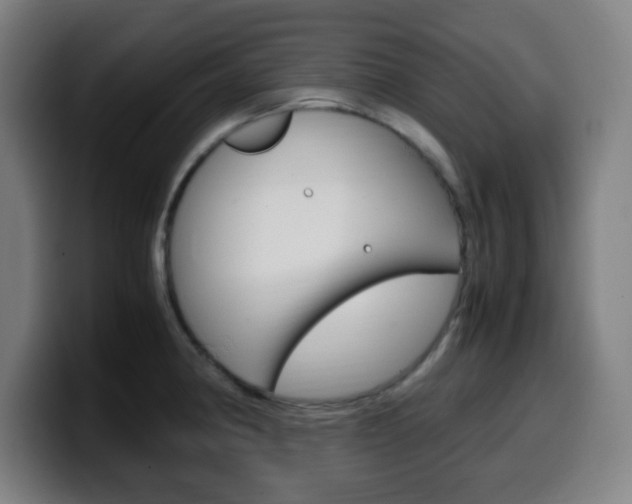 X0000099511190200805151004