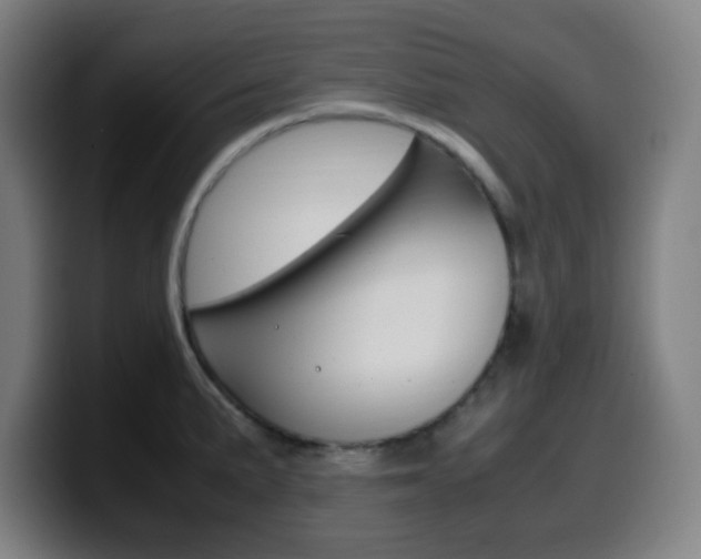 X0000099511191200805151004