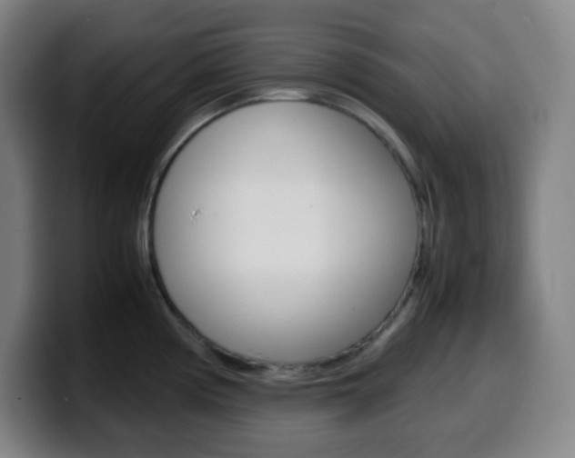 X0000099511194200805151004
