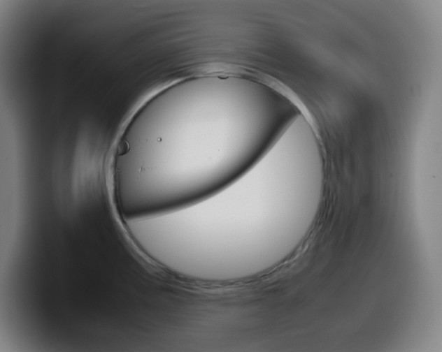 X0000099511195200805151004