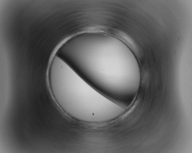 X0000099511196200805151004