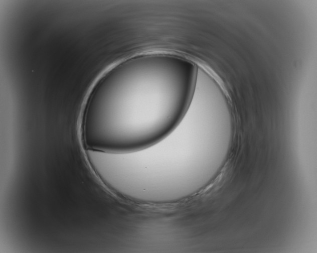 X0000099511197200805151004