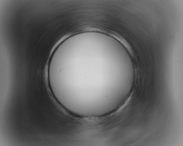 X0000099511198200805151004