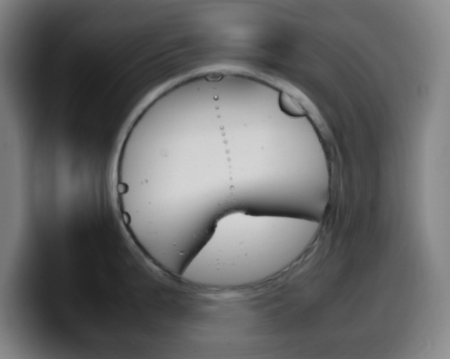 X0000099511199200805151004