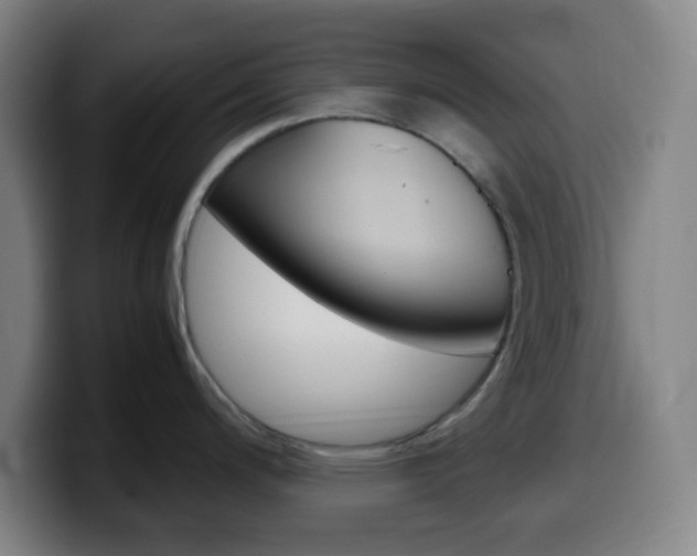 X0000099511200200805151004