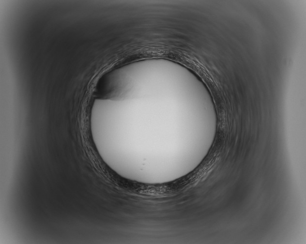 X0000099511201200805151003