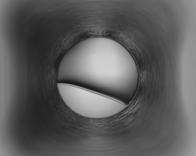 X0000099511202200805151003