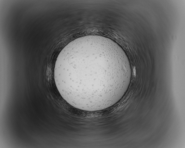 X0000099511203200805151003