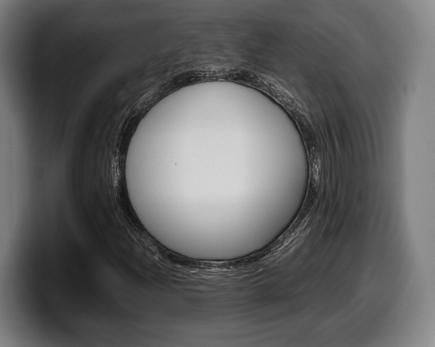 X0000099511204200805151003