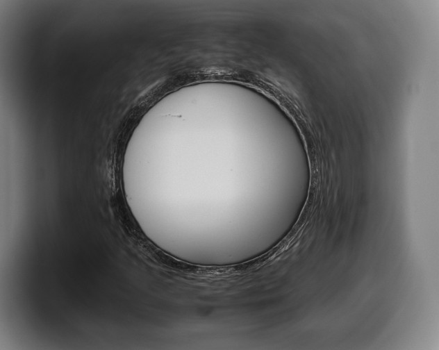 X0000099511205200805151003