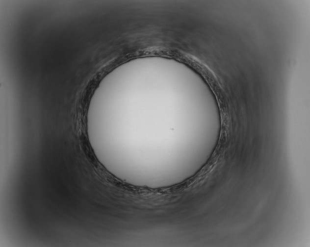 X0000099511207200805151003