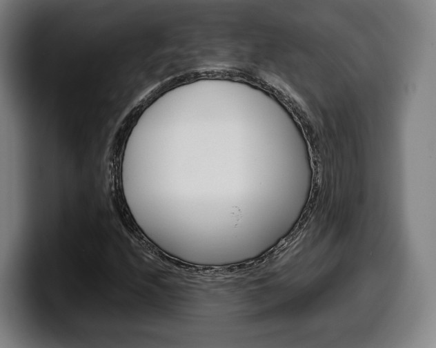X0000099511208200805151003