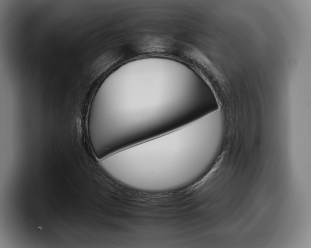X0000099511209200805151003