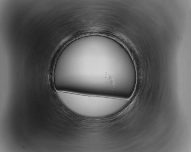 X0000099511210200805151003