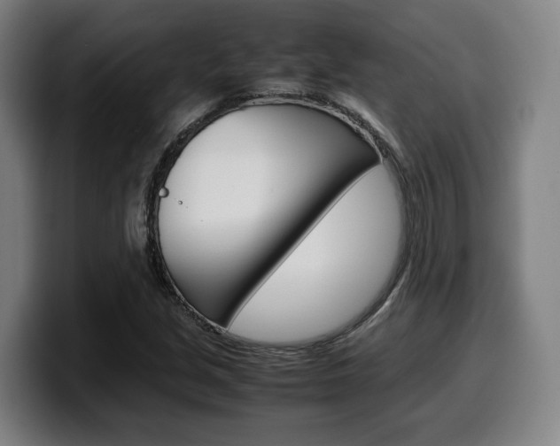 X0000099511213200805151003