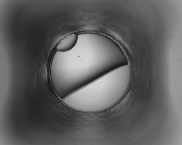 X0000099511214200805151003