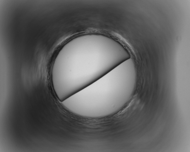 X0000099511215200805151003
