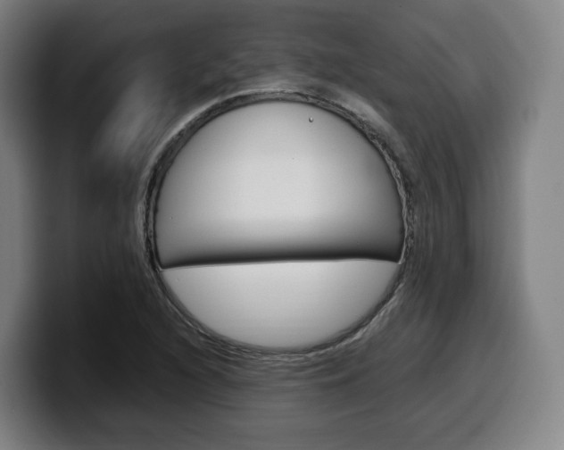X0000099511216200805151003