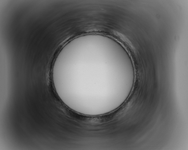 X0000099511217200805151004
