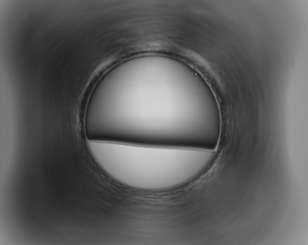 X0000099511218200805151004