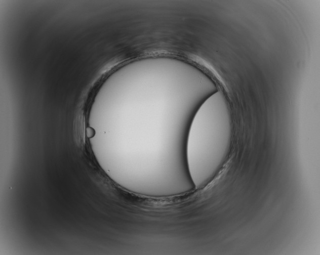 X0000099511219200805151004