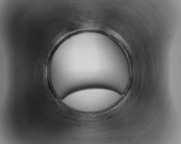 X0000099511220200805151004