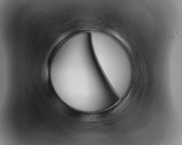 X0000099511221200805151004