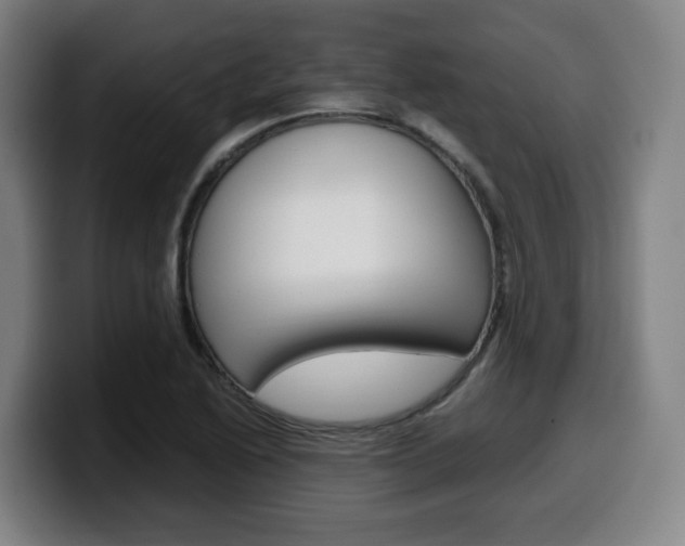 X0000099511222200805151004