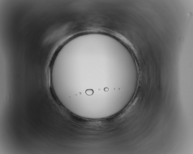 X0000099511223200805151004
