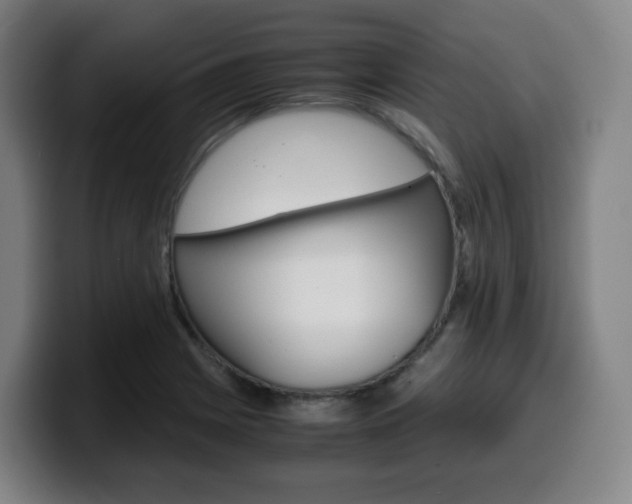 X0000099511225200805151004
