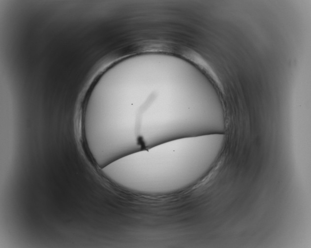 X0000099511227200805151004