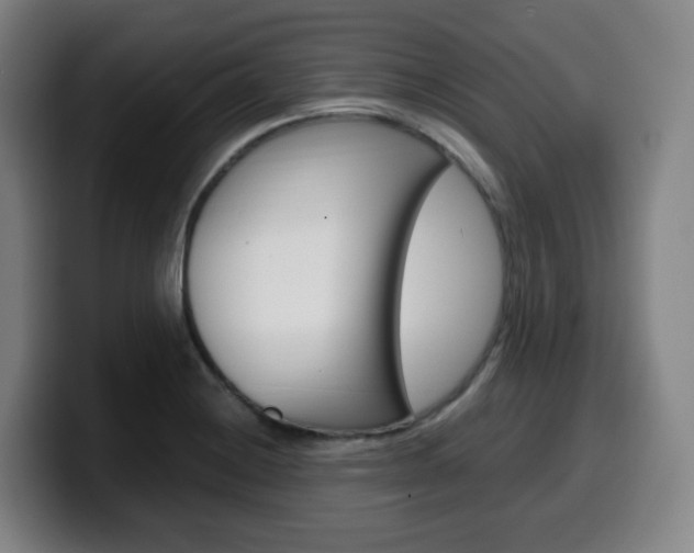 X0000099511228200805151004