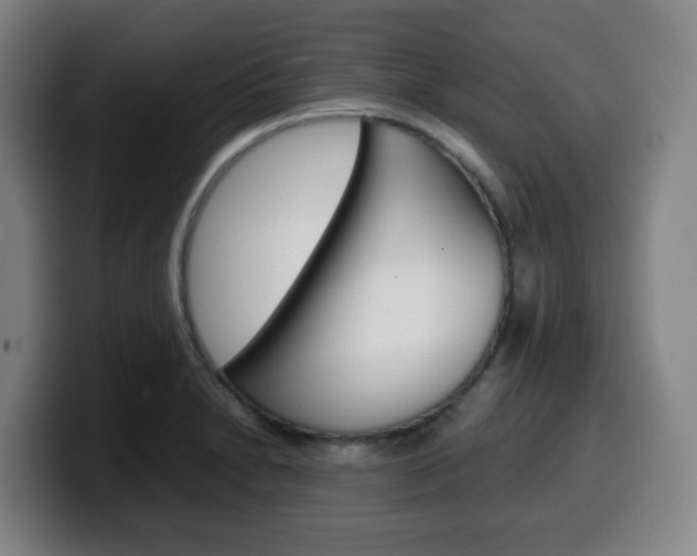 X0000099511230200805151004