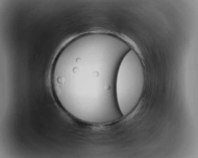 X0000099511231200805151004