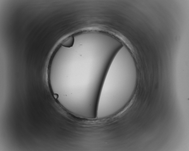 X0000099511232200805151004