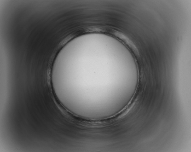 X0000099511233200805151004