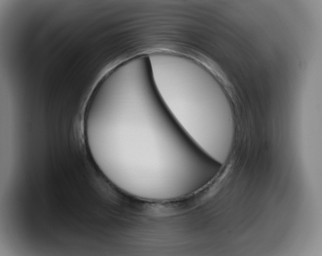 X0000099511234200805151004