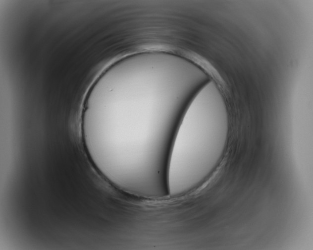 X0000099511236200805151004