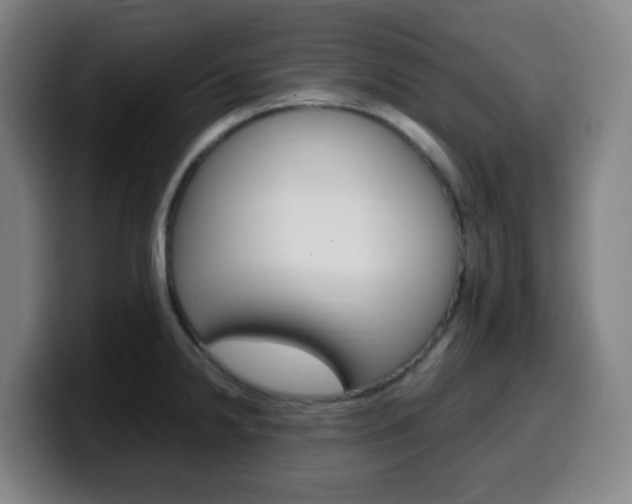 X0000099511238200805151004