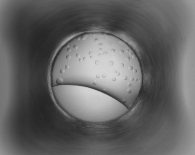 X0000099511239200805151004